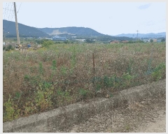  2025Ÿ��21457  ����