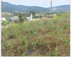  2025Ÿ��21457  ����