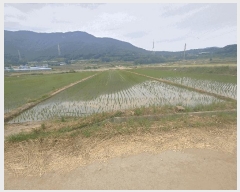  2025Ÿ��21457  ����