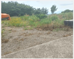  2025Ÿ��21457  ����