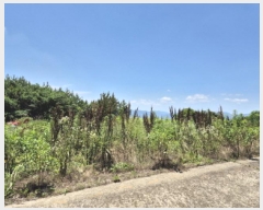  2025Ÿ��21457  ����