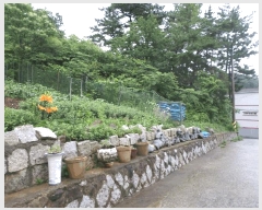  2025Ÿ��21490 �泲 ������ ������ ��21-1       ����(�Ӿ�)���