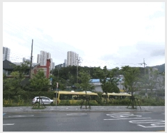  2025Ÿ��21490 �泲 ������ ������ ��21-1       ����(�Ӿ�)���