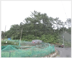  2025Ÿ��21490 �泲 ������ ������ ��21-1       ����(�Ӿ�)���