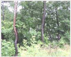  2025Ÿ��21490 �泲 ������ ������ ��21-1       ����(�Ӿ�)���