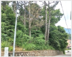  2025Ÿ��21490 �泲 ������ ������ ��21-1       ����(�Ӿ�)���