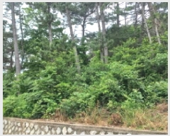  2025Ÿ��21490 �泲 ������ ������ ��21-1       ����(�Ӿ�)���