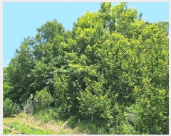  2025Ÿ��21498  �����