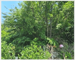  2025Ÿ��21498  �����