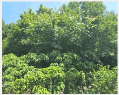  2025Ÿ��21498  �����