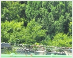  2025Ÿ��21498  �����