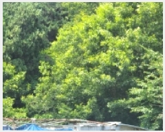  2025Ÿ��21498  �����