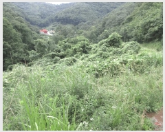  2025Ÿ��21543 �泲 ������ ���ֵ� 1505       ����(��)���