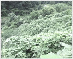  2025Ÿ��21543 �泲 ������ ���ֵ� 1505       ����(��)���