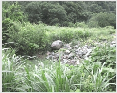  2025Ÿ��21543 �泲 ������ ���ֵ� 1505       ����(��)���