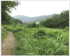  2025Ÿ��21543 �泲 ������ ���ֵ� 1505       ����(��)���