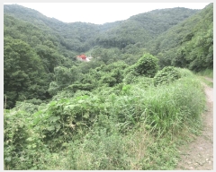  2025Ÿ��21543 �泲 ������ ���ֵ� 1505       ����(��)���