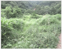  2025Ÿ��21543 �泲 ������ ���ֵ� 1505       ����(��)���