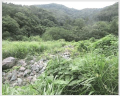  2025Ÿ��21543 �泲 ������ ���ֵ� 1505       ����(��)���