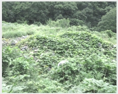  2025Ÿ��21543 �泲 ������ ���ֵ� 1505       ����(��)���