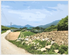  2025Ÿ��21572 �泲 ������ ���� ������ 337-2      ����(����)���