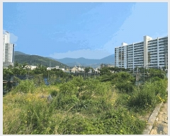  2025Ÿ��21597 �泲 ������ �Ͽ�� �������� 629      ����(��)���