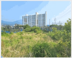  2025Ÿ��21597 �泲 ������ �Ͽ�� �������� 629      ����(��)���