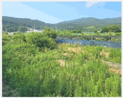  2025Ÿ��21597 �泲 ������ �Ͽ�� �������� 629      ����(��)���