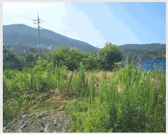  2025Ÿ��21597 �泲 ������ �Ͽ�� �������� 629      ����(��)���