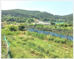  2025Ÿ��21597 �泲 ������ �Ͽ�� �������� 629      ����(��)���