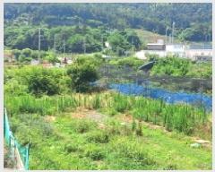  2025Ÿ��21597 �泲 ������ �Ͽ�� �������� 629      ����(��)���