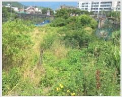  2025Ÿ��21597 �泲 ������ �Ͽ�� �������� 629      ����(��)���