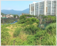  2025Ÿ��21597 �泲 ������ �Ͽ�� �������� 629      ����(��)���