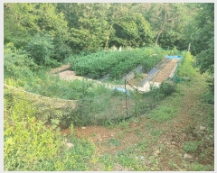  2025Ÿ��21627  �Ӿ߰��