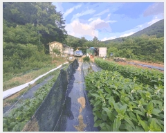  2025Ÿ��21627  �Ӿ߰��