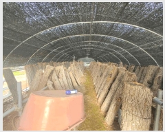  2025Ÿ��21627  �Ӿ߰��