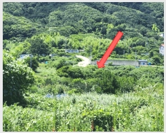  2025Ÿ��21660 �泲 ������ �Ͽ�� �ҵ��� 677-1      ����(��)���