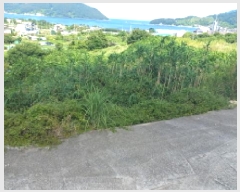  2025Ÿ��21660 �泲 ������ �Ͽ�� �ҵ��� 677-1      ����(��)���