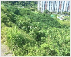  2025Ÿ��21660 �泲 ������ �Ͽ�� �ҵ��� 677-1      ����(��)���