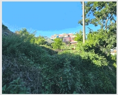  2025Ÿ��21669  �����