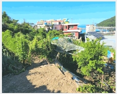  2025Ÿ��21669  �����