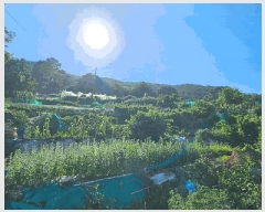  2025Ÿ��21669  �����