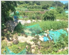  2025Ÿ��21669  �����