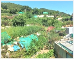  2025Ÿ��21669  �����