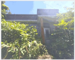  2025Ÿ��21685  �Ӿ߰��