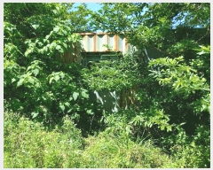  2025Ÿ��21685  �Ӿ߰��