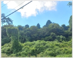  2025Ÿ��21685  �Ӿ߰��