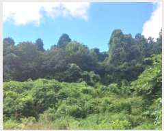  2025Ÿ��21685  �Ӿ߰��