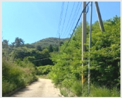  2025Ÿ��21685  �Ӿ߰��