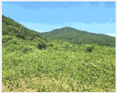  2025Ÿ��21701 �泲 ������ �д��� �Ÿ��� 692-2      ����(��1)���